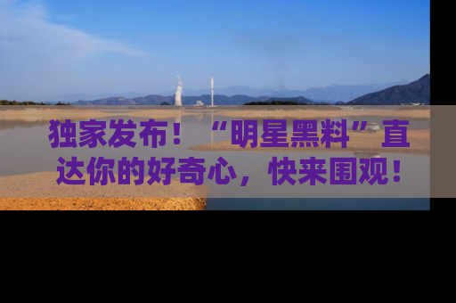 独家发布!“明星黑料”直达你的好奇心,快来围观!