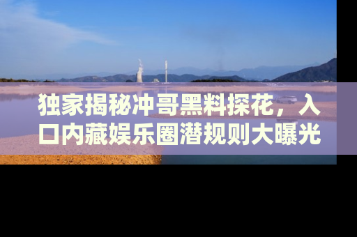 独家揭秘冲哥黑料探花,入口内藏娱乐圈潜规则大曝光