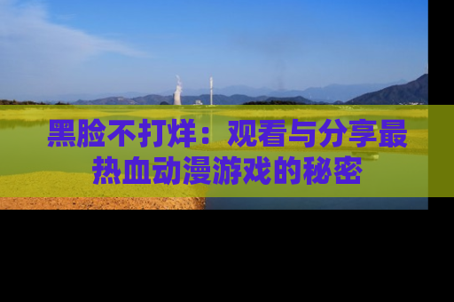 黑脸不打烊:观看与分享最热血动漫游戏的秘密