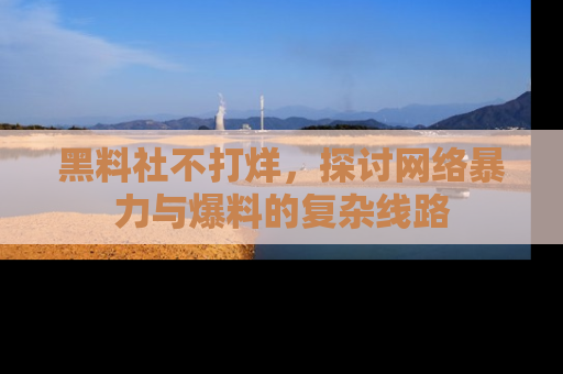 黑料社不打烊,探讨网络暴力与爆料的复杂线路