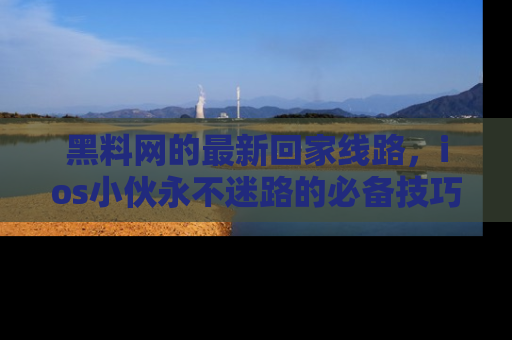 黑料网的最新回家线路，ios小伙永不迷路的必备技巧！