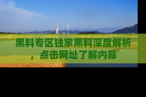 黑料专区独家黑料深度解析，点击网址了解内幕