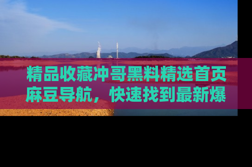 精品收藏冲哥黑料精选首页麻豆导航,快速找到最新爆料