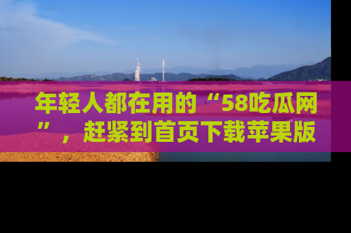 年轻人都在用的“58吃瓜网”，赶紧到首页下载苹果版吧！