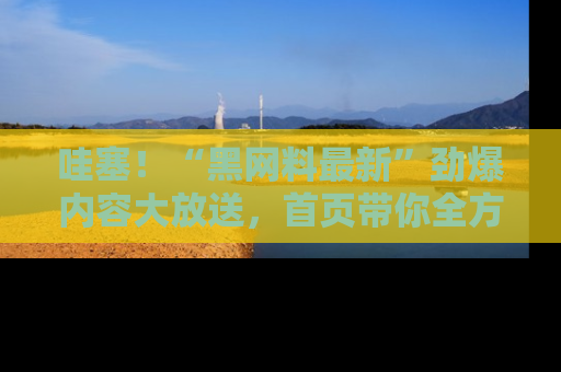 哇塞!“黑网料最新”劲爆内容大放送,首页带你全方位了解哦,小可爱们