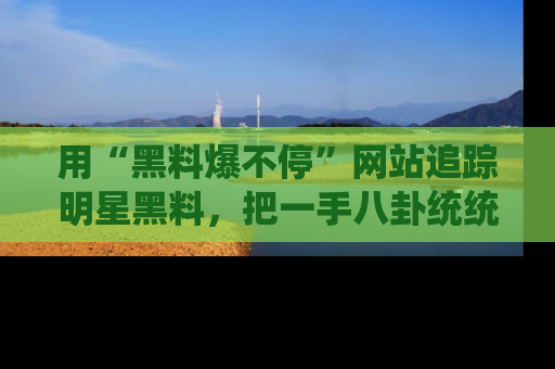 用“黑料爆不停”网站追踪明星黑料,把一手八卦统统收进你的后宫中!