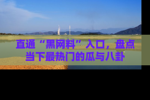 直通“黑网料”入口,盘点当下最热门的瓜与八卦