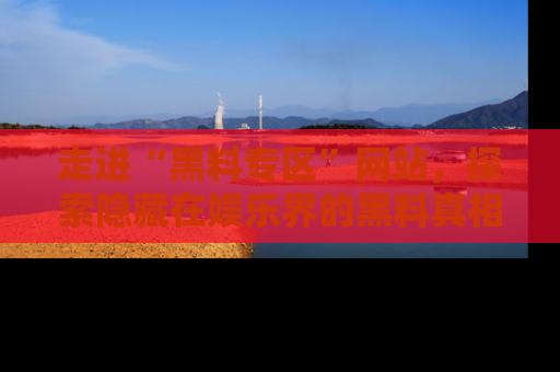 走进“黑料专区”网站,探索隐藏在娱乐界的黑料真相